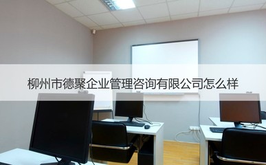 柳州市德聚企業管理咨詢公司 專業的二手車經紀與信息咨詢服務商